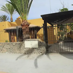 Coral , Corralejo España
